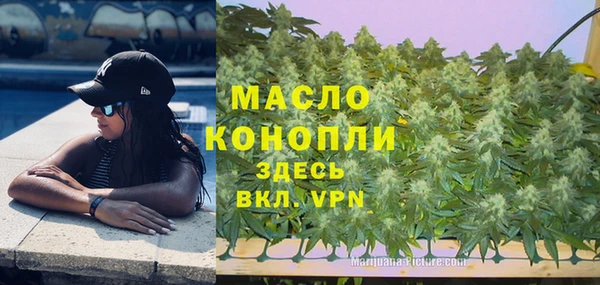 дмт Арсеньев