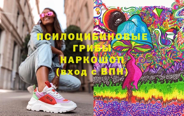 дмт Горно-Алтайск