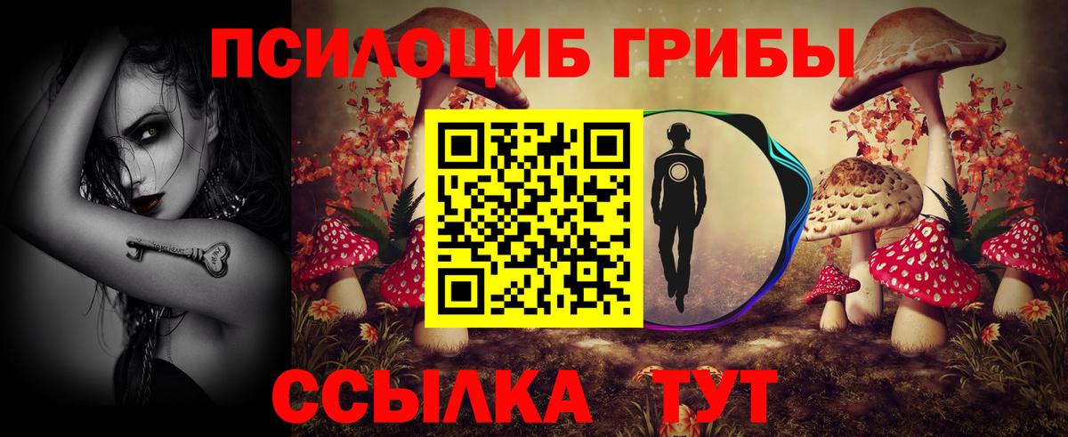 Псилоцибиновые грибы Psilocybe Курган