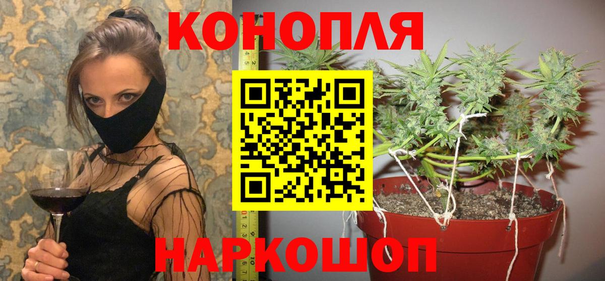 Конопля OG Kush Курган